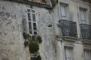 Saintes durcit le ton contre l'habitat dégradé avec des mesures coercitives