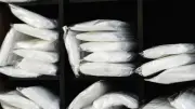 Saisie record de 3 tonnes de cocaïne par les douanes françaises