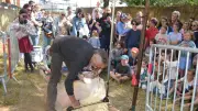 Salon biterrois de l'agriculture : une deuxième édition qui séduit les familles