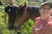 Sauvetage de Pépito : un cheval sauvé de l'abattoir par une avocate et un policier