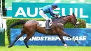 Sel Jem triomphe au Grand Steeple-Chase malgré une hanche cassée