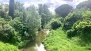 Semaine verte à Bassan : animations et sensibilisation à l'eau