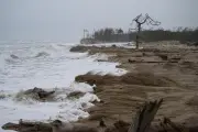 Séismes et tempêtes en Oléron : une conférence pour explorer l'histoire locale