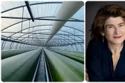Startup niçoise Inalve : faillite malgré technologie aboutie et marché porteur