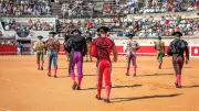 Tauromachie : Nîmes réintègre l'Union des villes taurines françaises