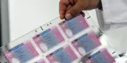 Titres de séjour : le Conseil d'État ordonne à l'État de corriger la plateforme