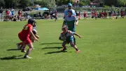Tournoi des Arlequins : 1700 jeunes rugbymen attendus à Sauvian