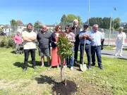 Tradition de la maïade : un lilas des Indes planté par les élus
