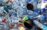 Tri des déchets : les défis cachés de l'industrie du recyclage en France