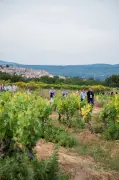 Trois vignobles français célèbrent l'arrivée des beaux jours en juin
