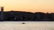 Un banc de dauphins aperçu dans le port de Sète, un spectacle magnifique