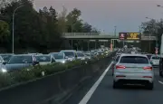 Un homme jugé pour avoir jeté deux chiens depuis un pont à Toulouse