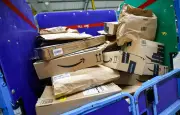 Un serpent découvert dans un colis Amazon à Bioule
