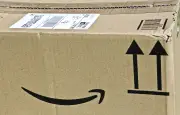 Un Tarn-et-Garonnais découvre un serpent dans son colis Amazon