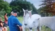 Une expérience musicale unique au milieu des chevaux à Vézénobres