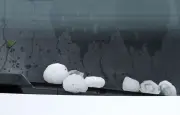 Une émeue tuée par la grêle lors d'un violent orage à Springfield