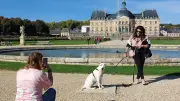 Vaux-le-Vicomte ouvre ses jardins aux chiens en semaine
