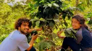 Vaya : la torréfaction artisanale de café du terroir par Laura et Aly