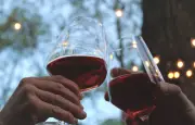 Vin E. Guigal Côtes-du-Rhône 2023 : l'accord parfait pour vos dîners