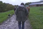 Violence dans les champs : enquête sur un système agricole qui broie le monde rural