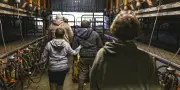 Violence dans les champs : un documentaire choc sur France 5