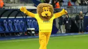 Vol de Sochalion, la mascotte du FC Sochaux, avant la montée en Ligue 2