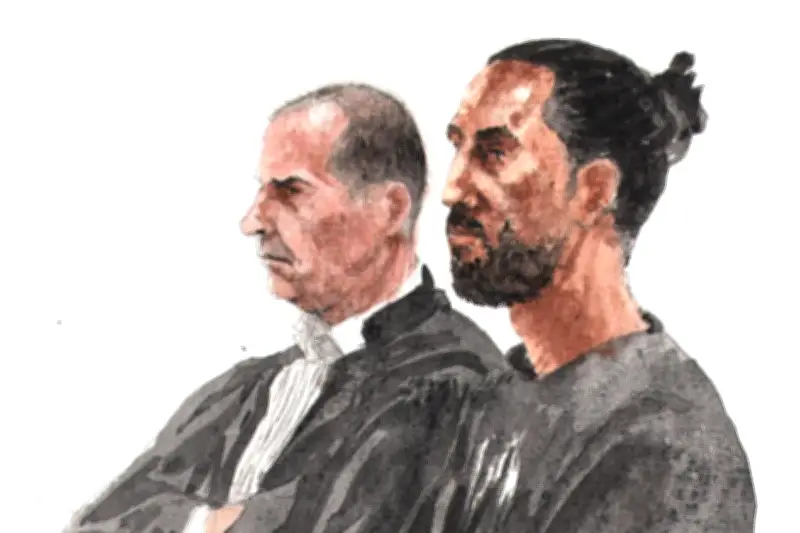30 ans de réclusion pour le mari violent à la feuille de boucher à Nice