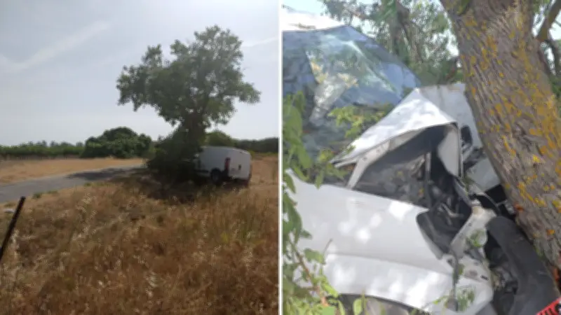 Accident à Lespignan : conducteur ivre percute un arbre, sa femme blessée