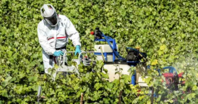 Alimentation : comment distinguer danger réel et peur infondée ?