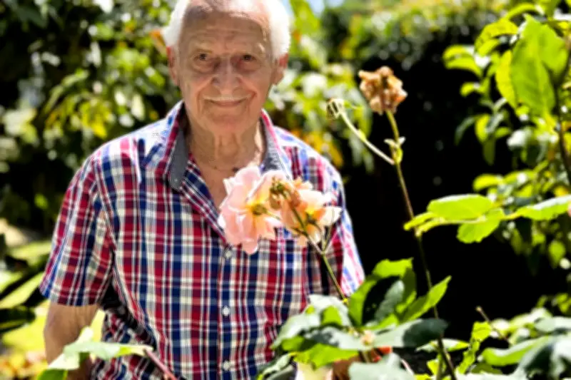 Antibes 1971 : l'horrible orage de grêle raconté par un horticulteur