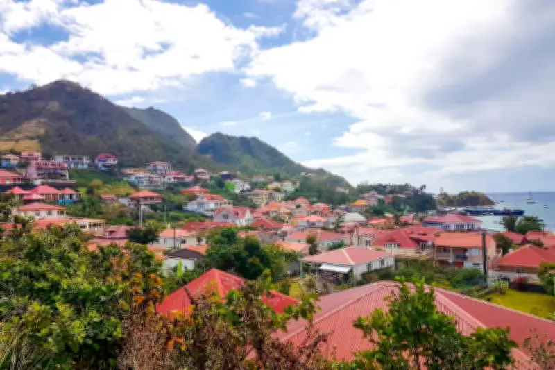 Antilles : 80% des adultes contaminés au chlordécone, 30 ans après son interdiction