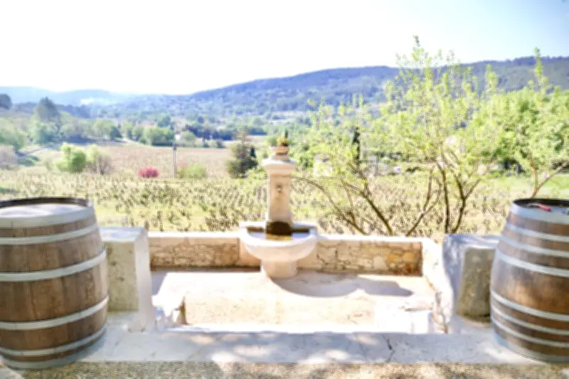 Art et Vin 2026 : 28e édition dans 50 domaines de Paca, art et œnotourisme