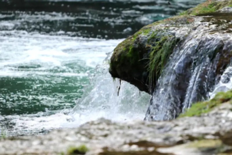 Assises du droit de la nature à Toulon : vers une personnalité juridique du vivant