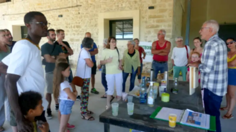 Atelier nichoir à chauves-souris pour lutter contre les moustiques