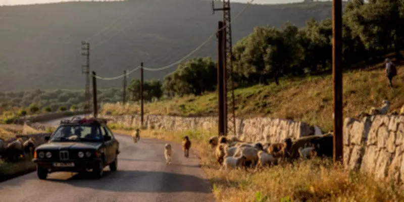 Au Liban, à l'intérieur de la ligne jaune : la vie sous occupation israélienne à Kfar Chouba