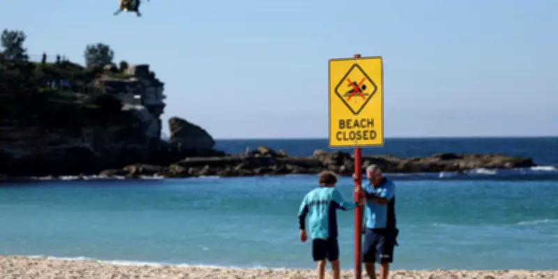 Australie : débat sur l'abattage des requins après quatre morts