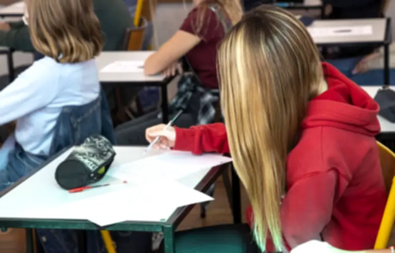 Bac 2025 : sujets et corrigés de français pour les filières technologiques