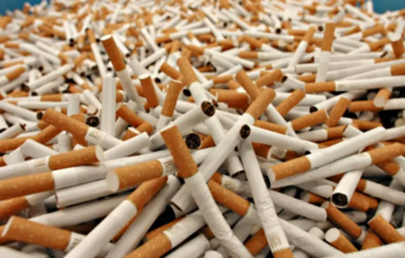 Belgique : six usines clandestines de cigarettes démantelées en 2026