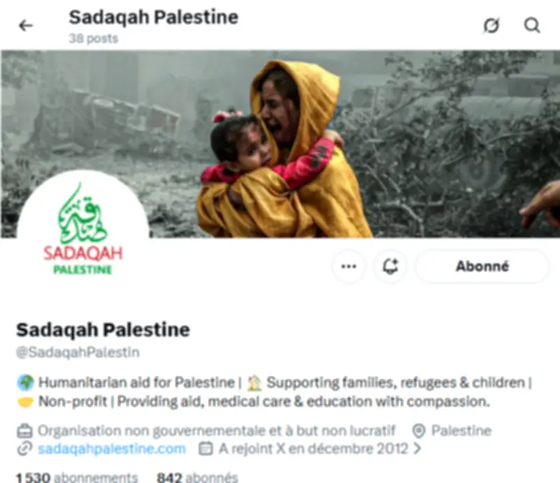 BlackCore : avant l'opération anti-LFI, une fausse ONG d'aide à la Palestine