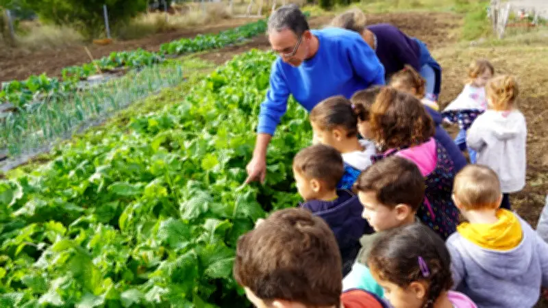 BoCal : une plateforme pour manger local dans le bassin de Thau