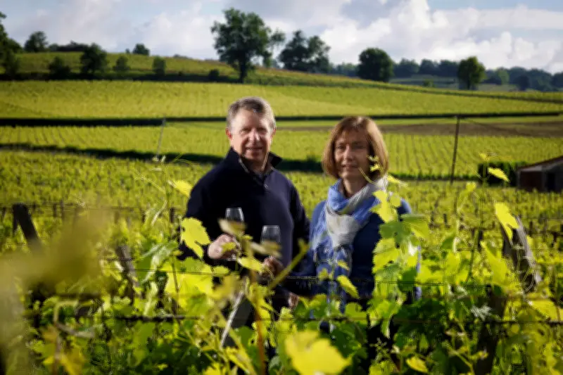 Bordeaux primeurs : Castillon retrouve le chemin de la raison