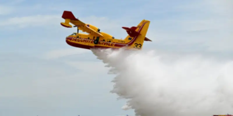 Canadair : un enjeu clé pour la lutte contre les feux de forêt