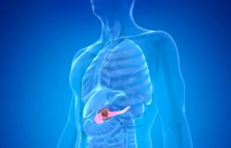 Cancer du pancréas : un nouveau traitement prometteur double l'espérance de vie