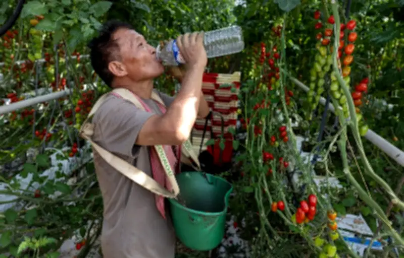 Canicule : 13 départements rétrogradés en orange samedi