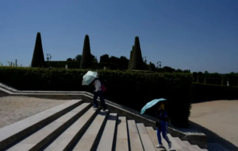 Canicule 2024 : non comparable à celle de 1976, selon Météo-France