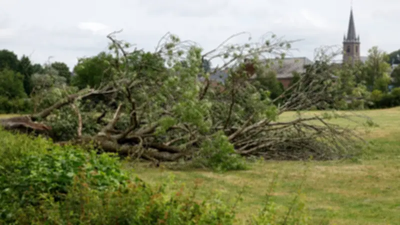 Canicule : 40°C dans le Sud, orages et averses balayent la France