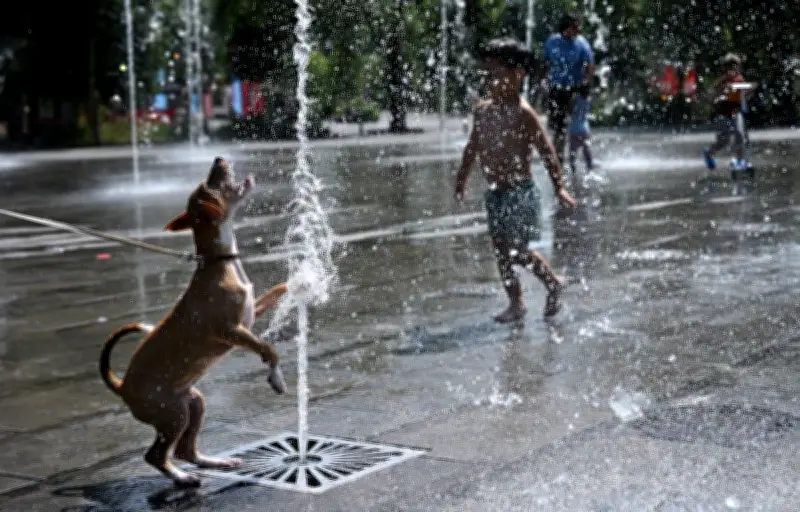 Canicule : 61 départements en alerte rouge, brevet sous 40°C