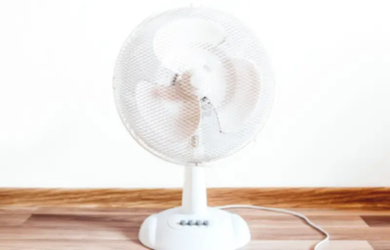 Canicule : bien choisir son ventilateur pour ne pas faire exploser sa facture