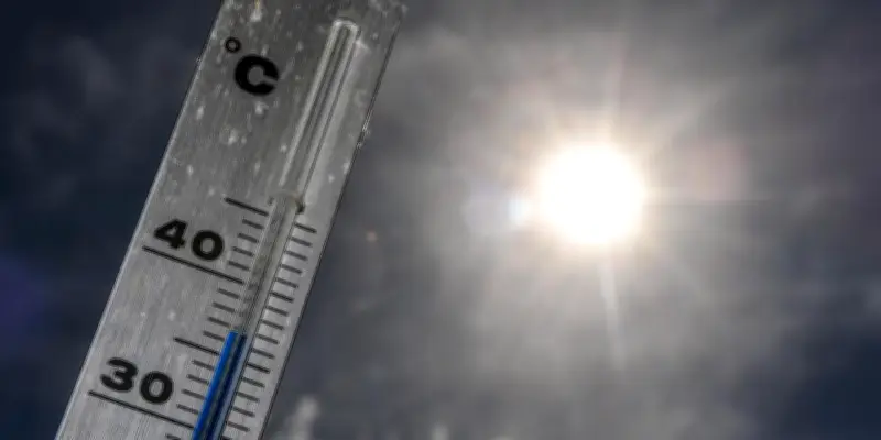 Canicule : comprendre la température ressentie