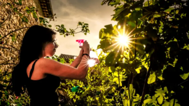 Canicule dans le Gard : jusqu'à 38°C et vigilance jaune maintenue